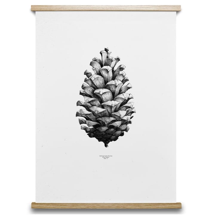 Lámina 1:1 Pine Cone, blanco, 50 x 70 cm Paper Collective