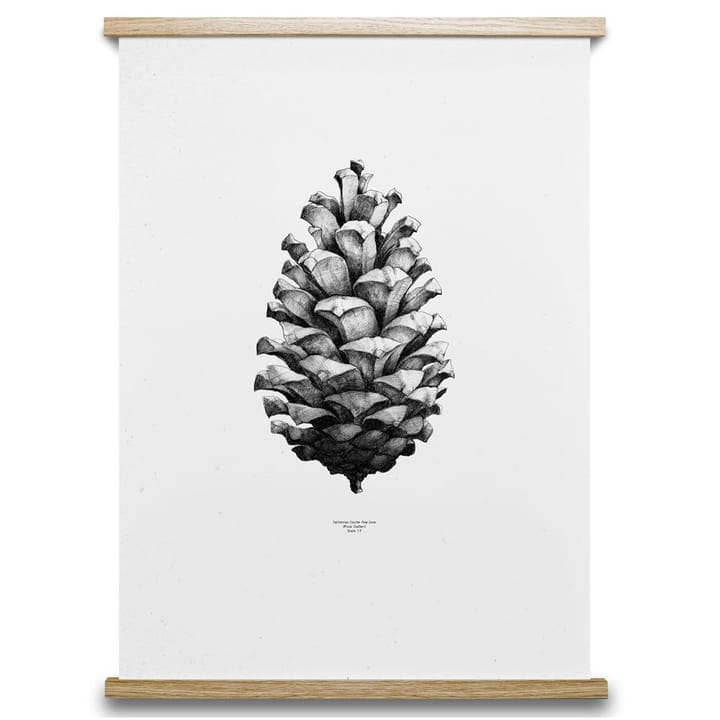 Lámina 1:1 Pine Cone - blanco, 50 x 70 cm - Paper Collective