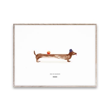 Lámina Doug the Dachshund - 30x40 cm - Paper Collective