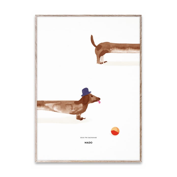 Lámina Doug the Dachshund, 50x70 cm Paper Collective