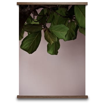 Lámina Green Leaves - 50x70 cm - Paper Collective