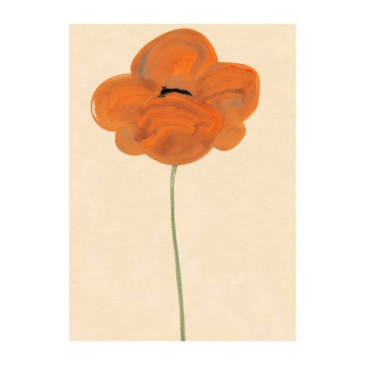 Lámina Orange Vallmo - 50x70 cm - Paper Collective