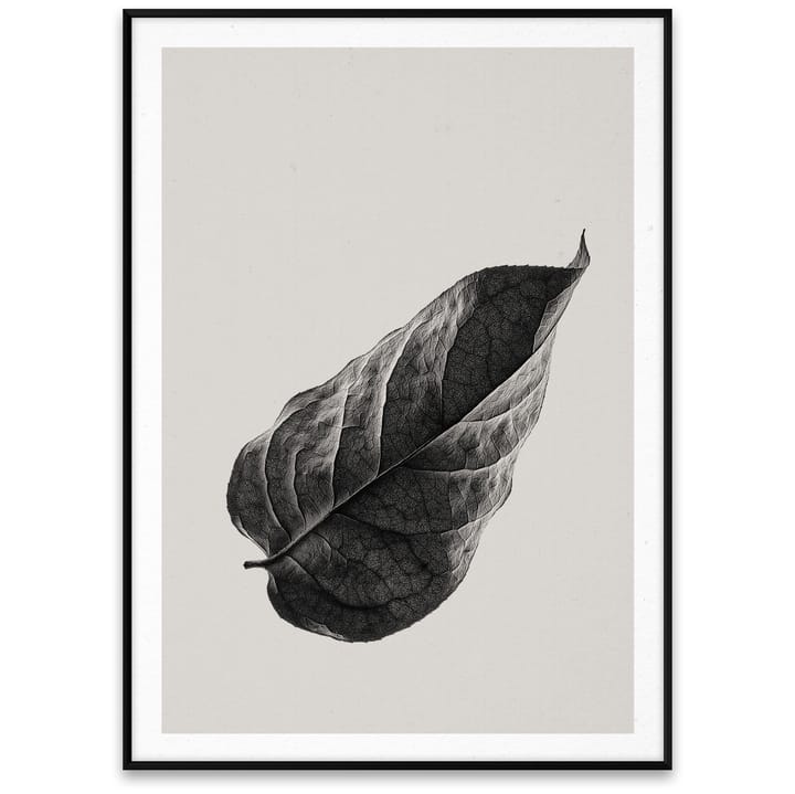 Lámina Sabi Leaf 01 - 50x70 cm - Paper Collective