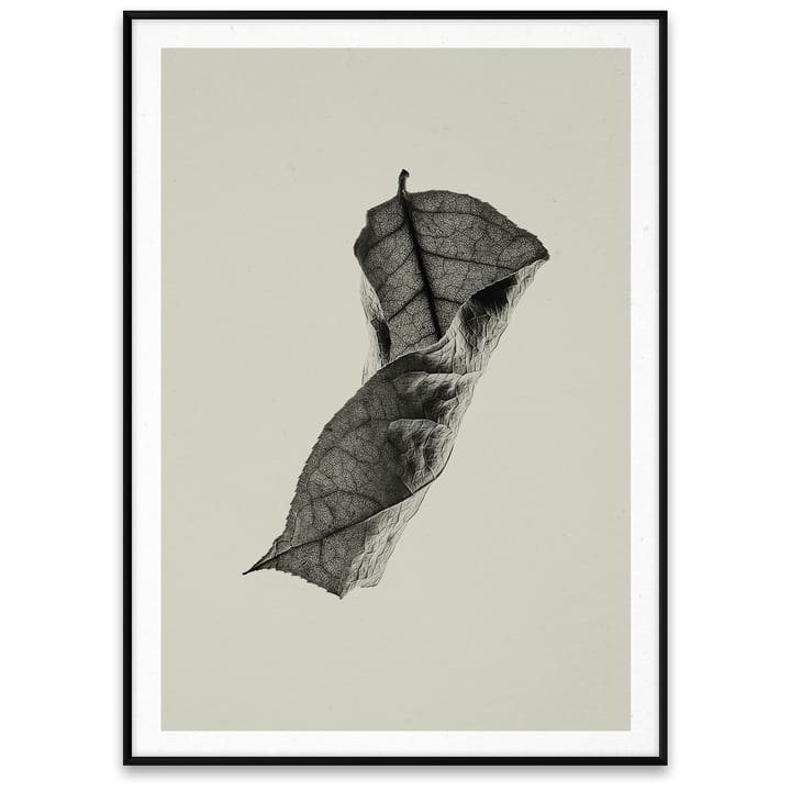 Lámina Sabi Leaf 04 - 50x70 cm - Paper Collective