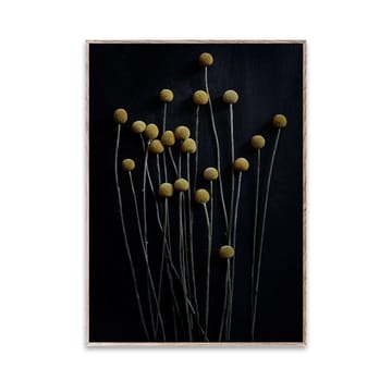 Lámina Still Life 01 Yellow Drumsticks - 30x40 cm - Paper Collective