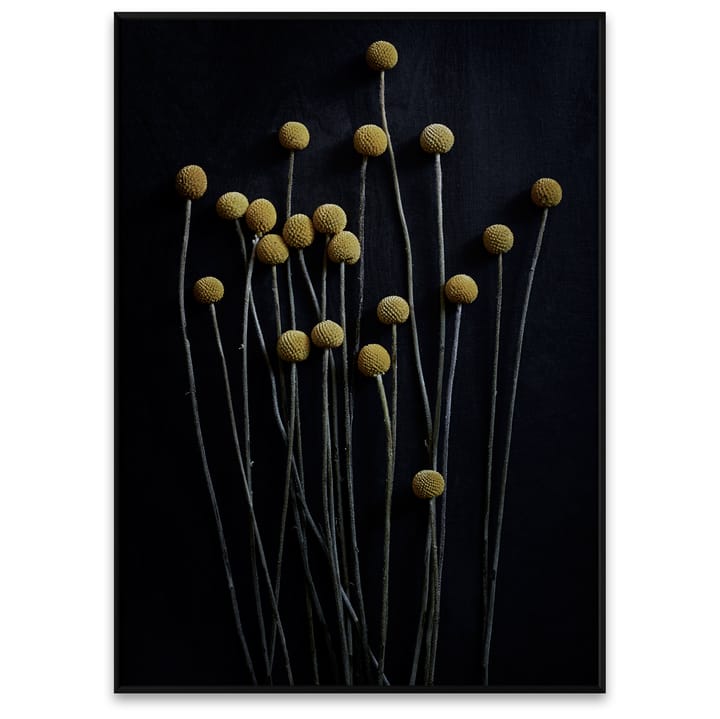 Lámina Still Life 01 Yellow Drumsticks, 50x70 cm Paper Collective