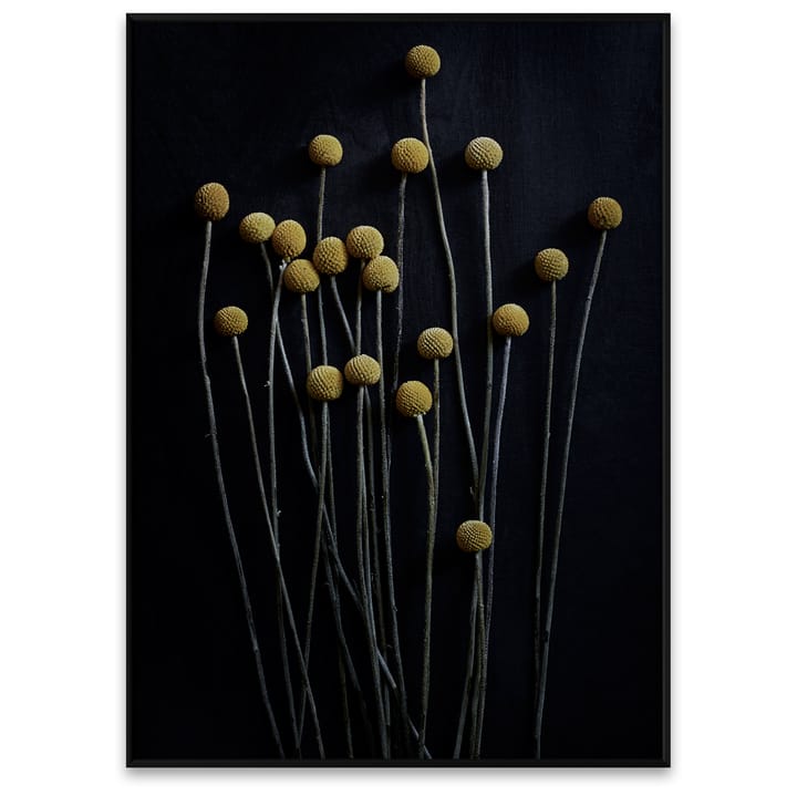 Lámina Still Life 01 Yellow Drumsticks - 50x70 cm - Paper Collective