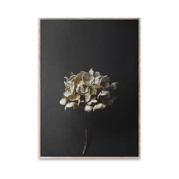 Lámina Still Life 04 Hydrangea - 30x40 cm - Paper Collective