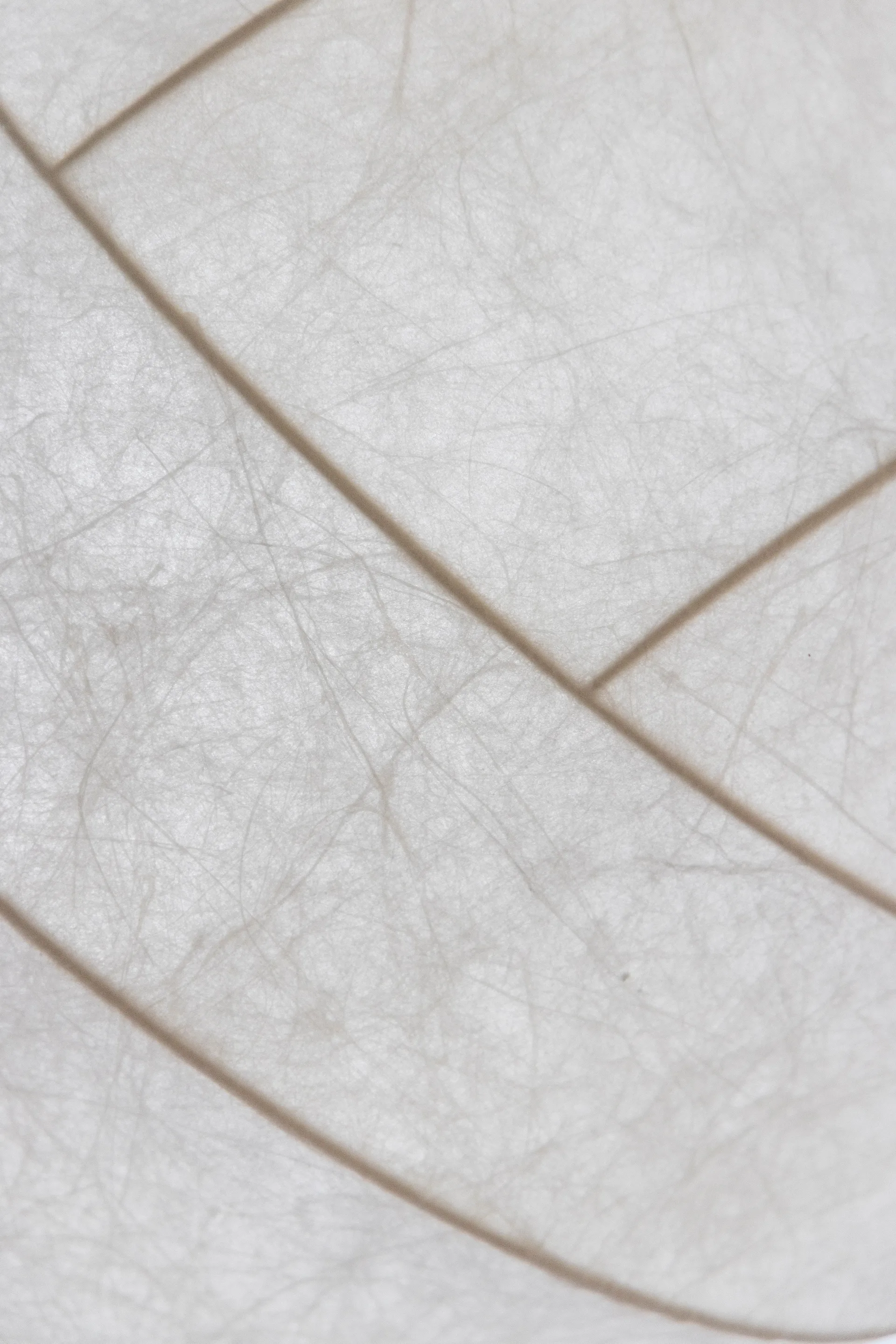 Lámpara de techo Turner 80, Blanco Pholc