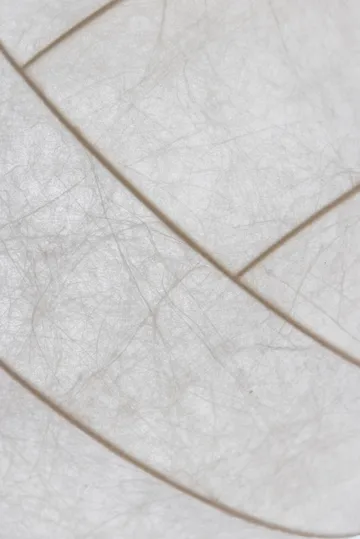 Lámpara de techo Turner 80 - Blanco - Pholc