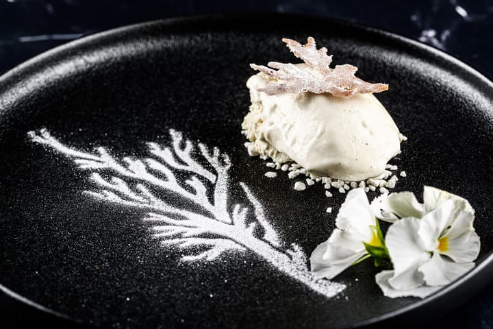 2 Cucharas de quenelle Plate-it, Acero Plate It