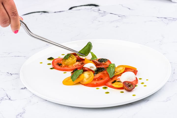 Set de 2 pinzas Plate-it, Acero Plate It