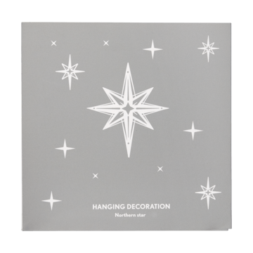 Adorno navideño Northern Star L - Plata - Pluto Design