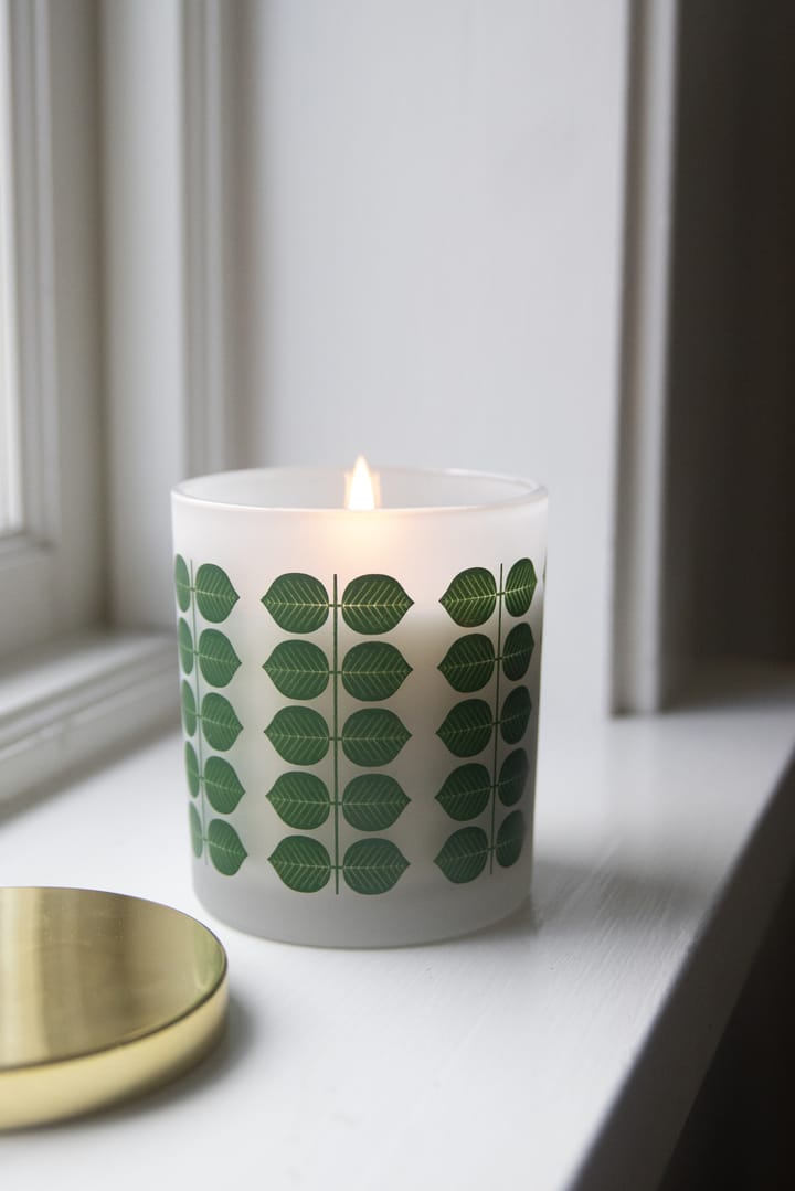 Vela aromática Stig L Berså, Vidrio esmerilado-dorado Pluto Design