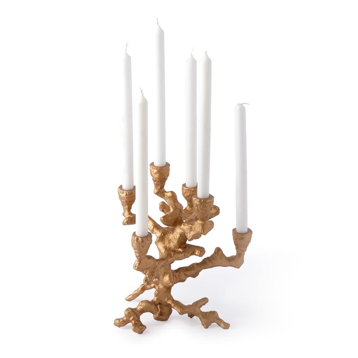 Portavelas Apple tree S 32,5 cm, Dorado POLSPOTTEN