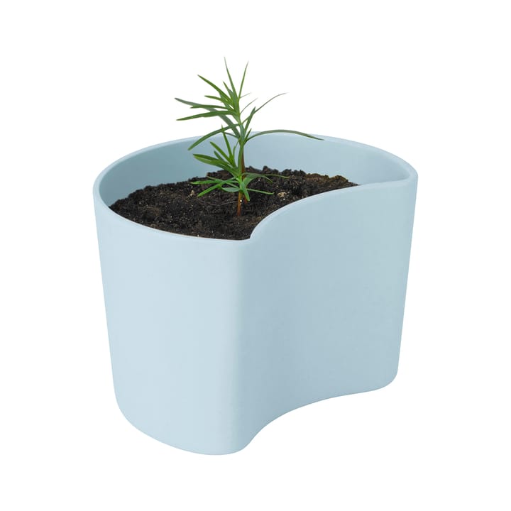Maceta con semillas YOUR TREE - azul (pino) - RIG-TIG