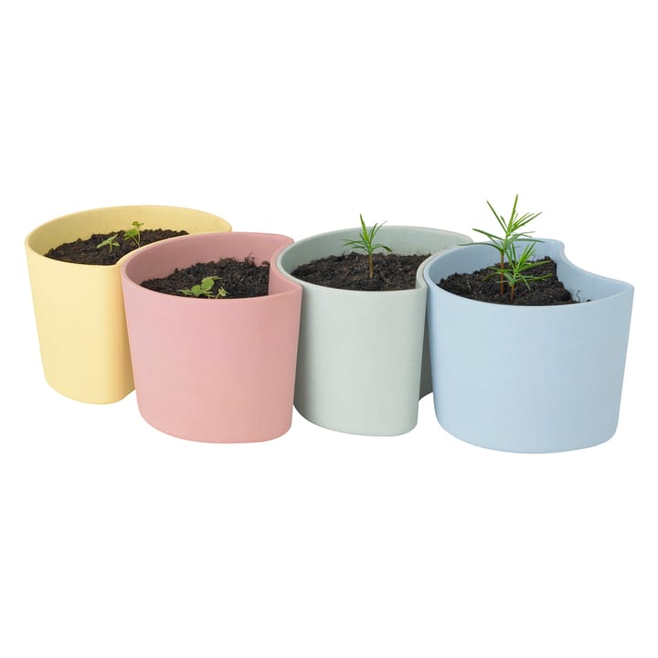 Maceta con semillas YOUR TREE, azul (pino) RIG-TIG