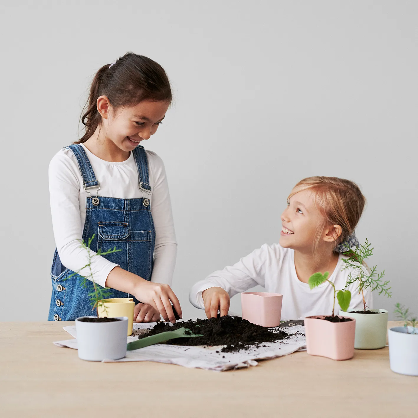 Maceta con semillas YOUR TREE, verde (pino) RIG-TIG