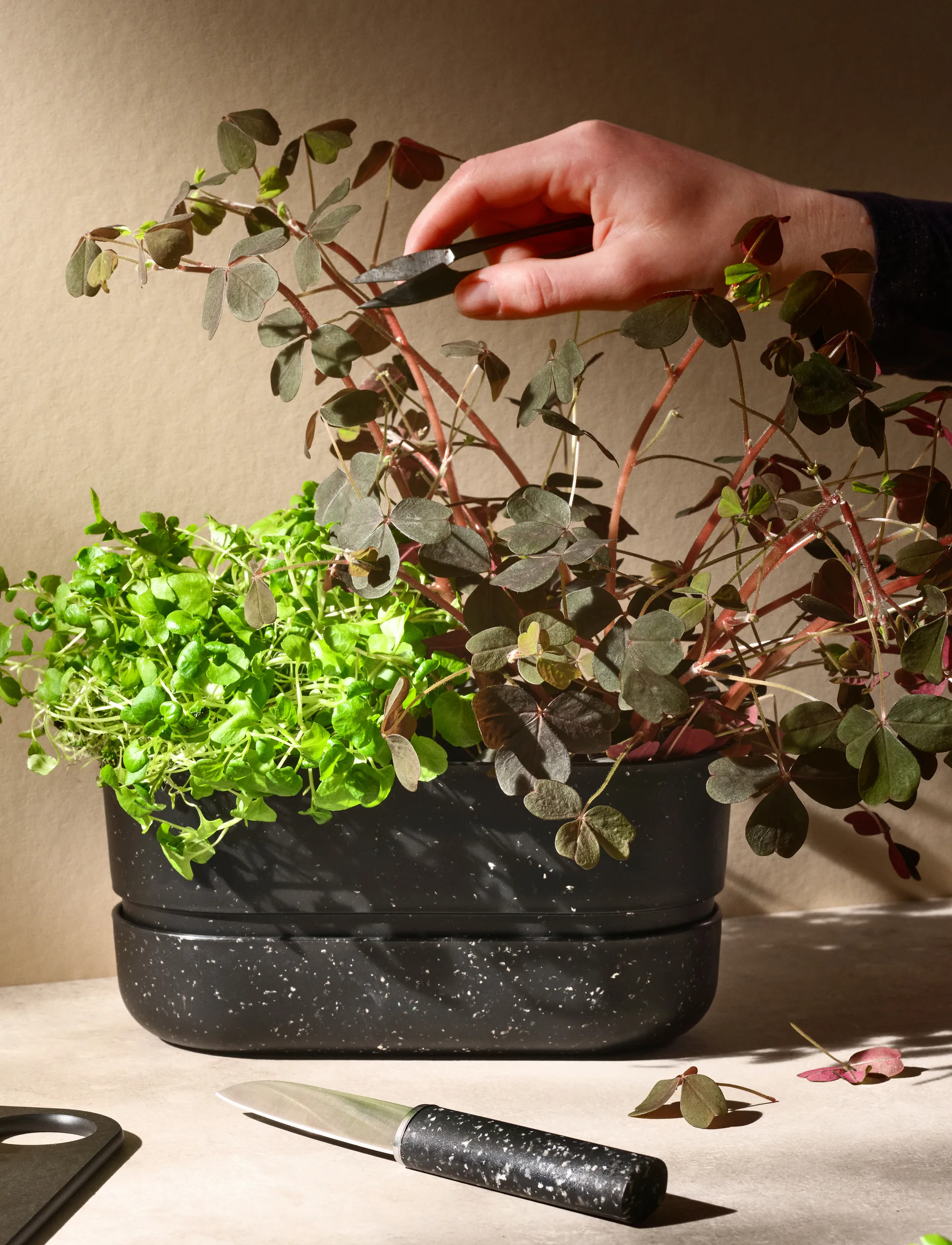 Maceta POT-IT 22,2 cm, Black RIG-TIG