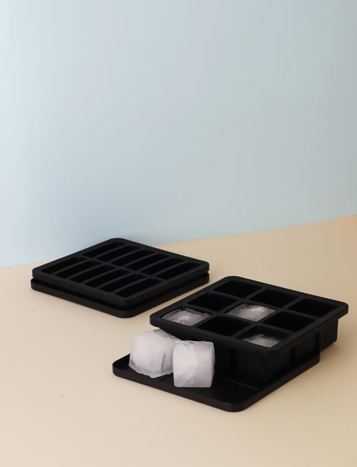 Molde para cubitos de hielo con tapa FREEZE-IT , 2,5x19x19 cm RIG-TIG