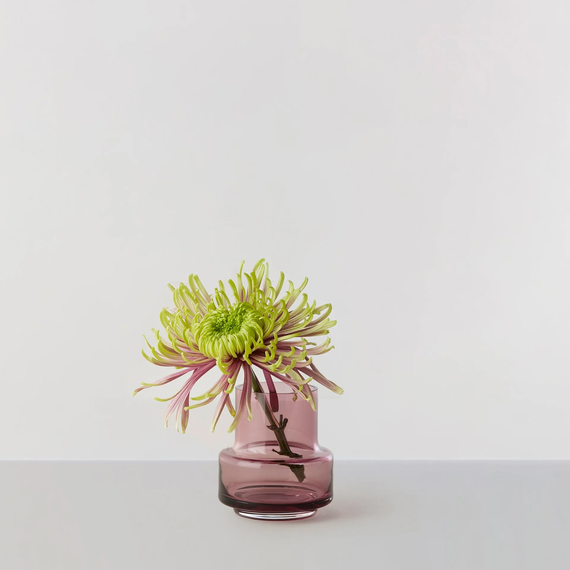 Hurricane tealight no. 25, Heather Ro Collection