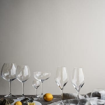 2 Copas de champagne Premium 37 cl - transparente - Rosendahl