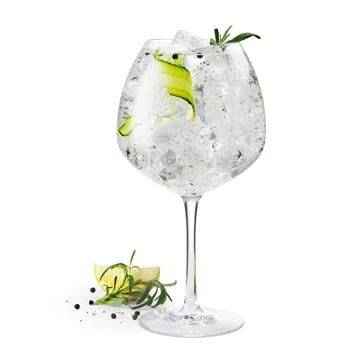 2 Vasos de gin Premium 93 cl - transparente - Rosendahl