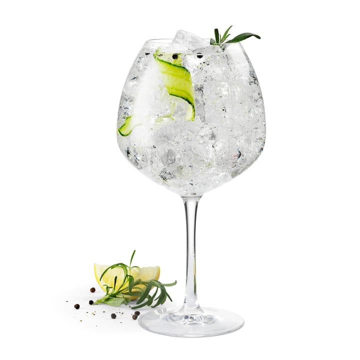2 Vasos de gin Premium 93 cl, transparente Rosendahl
