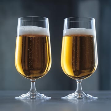 6 Copas de cerveza Grand Cru - set de 6, 50 cl - Rosendahl