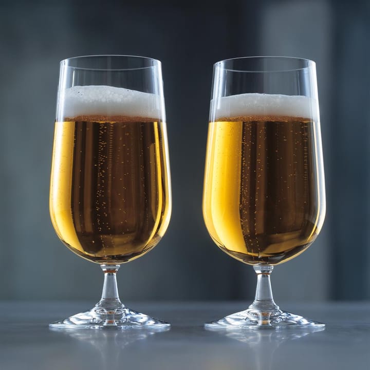 6 Copas de cerveza Grand Cru, set de 6, 50 cl Rosendahl