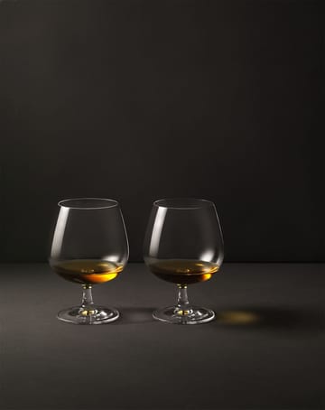 Copas de coñac Grand Cru - set de 2, transparente - Rosendahl