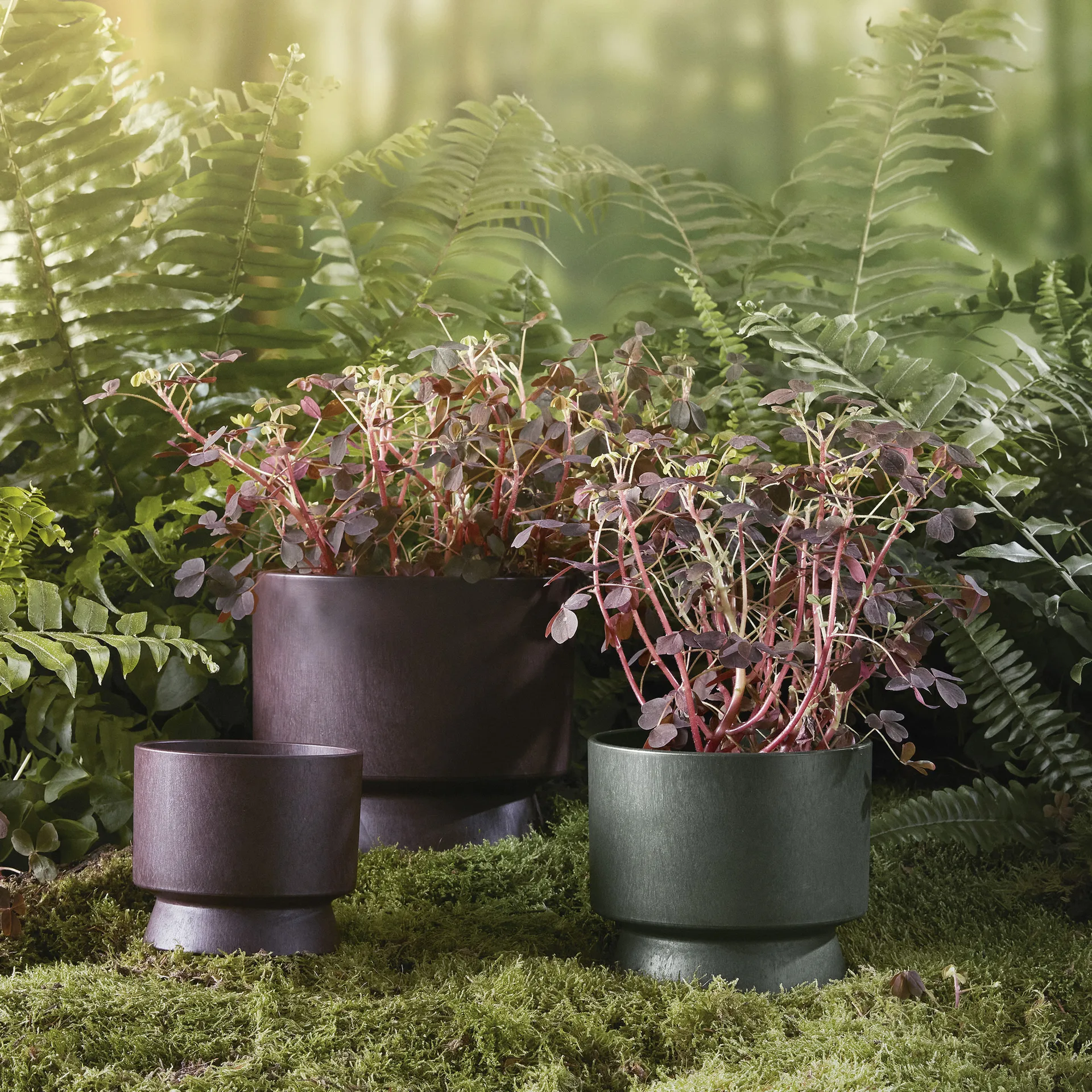 Maceta Ro Ø12 cm, Bordeaux Rosendahl