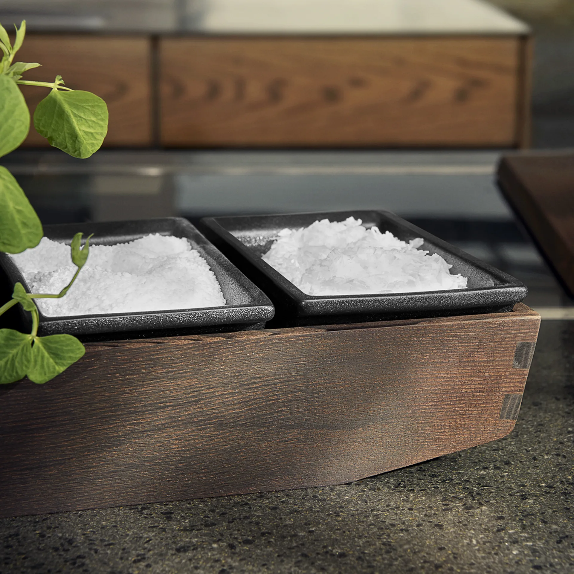 Salero Rå 6,5 cm, negro Rosendahl