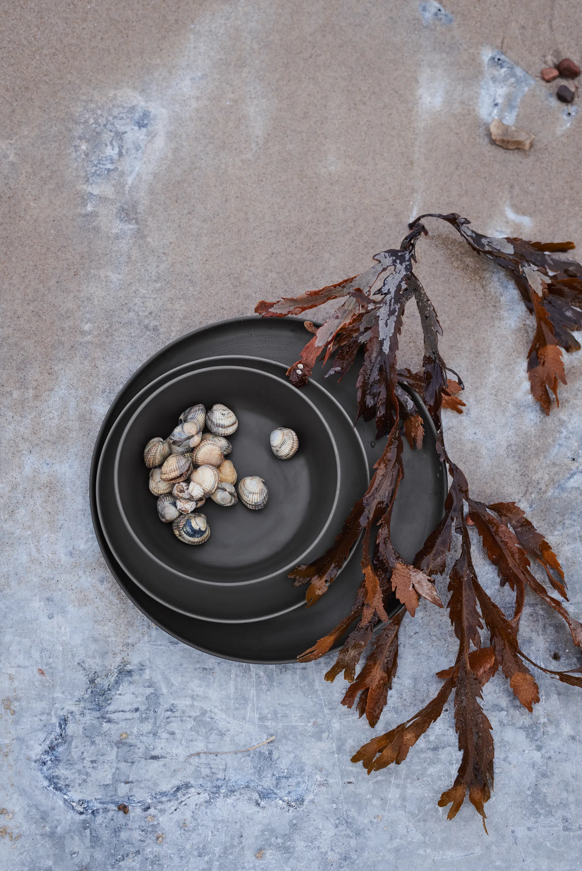 Set de 2 platillos Grand Cru Take Ø19,5 cm, gris Rosendahl