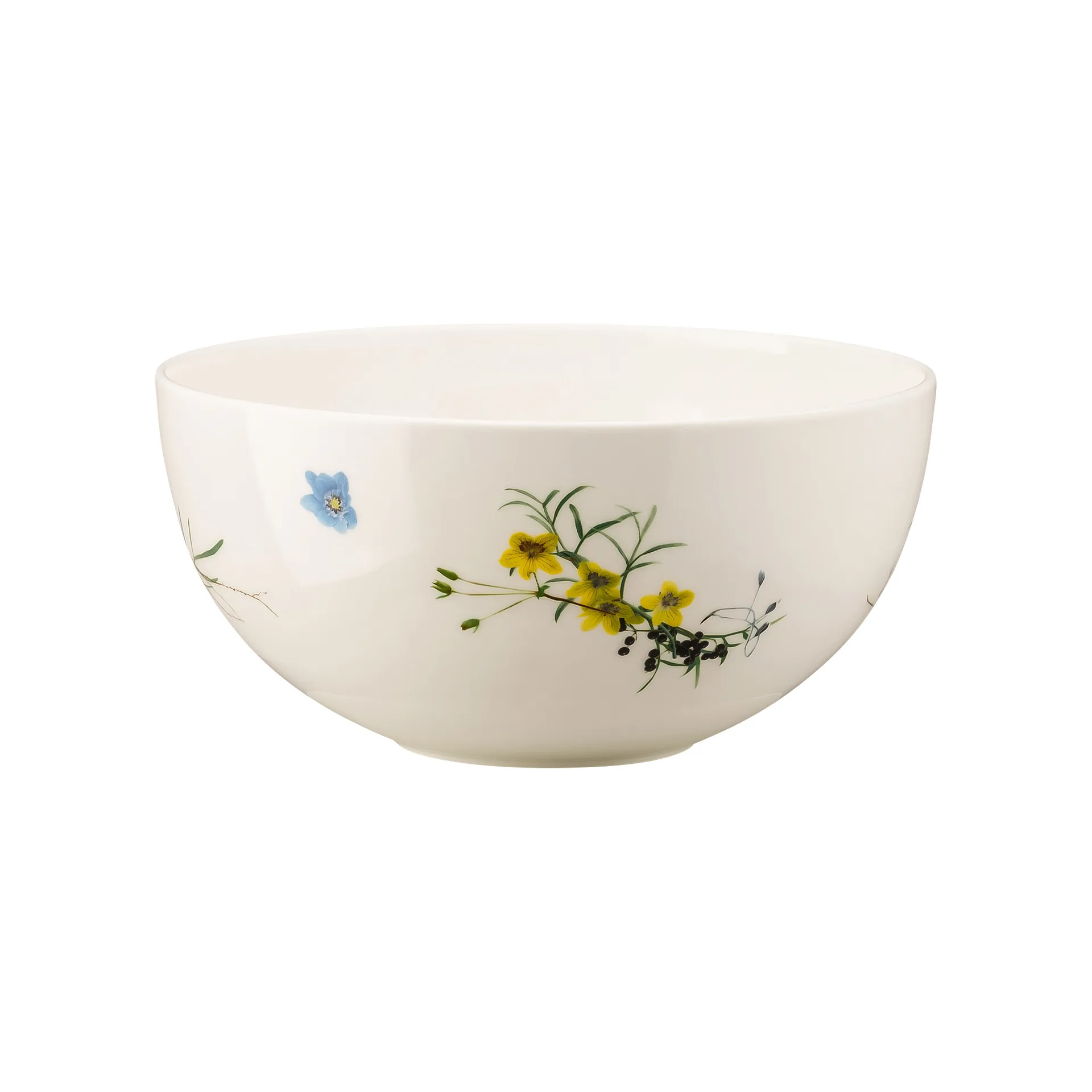 Bol Brillance Fleurs des Alpes 22 cm, Multi Rosenthal