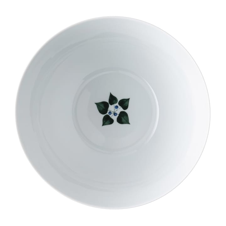 Bol Magic Garden Foliage 28 cm, blanco-verde Rosenthal