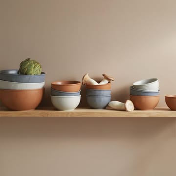 Bol Thomas Clay Ø24 cm - Sky - Rosenthal