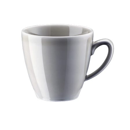 Taza Mesh - Mountain - Rosenthal