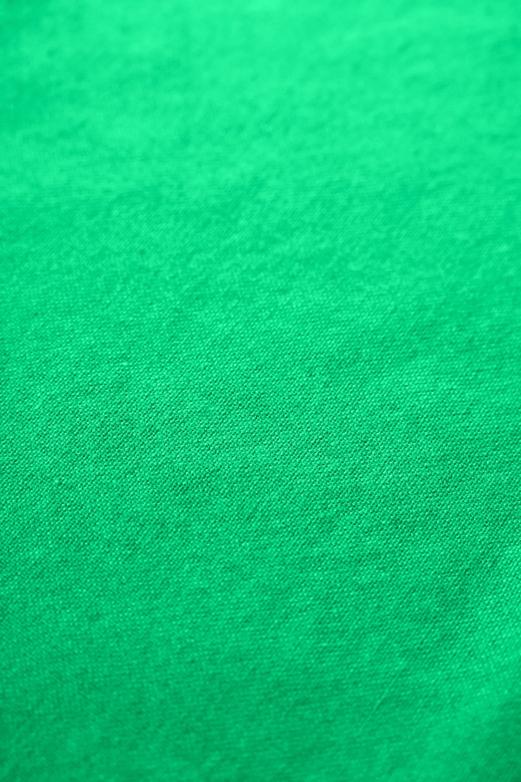 Paño de cocina Rug Solid 50x70 cm, Racing green Rug Solid