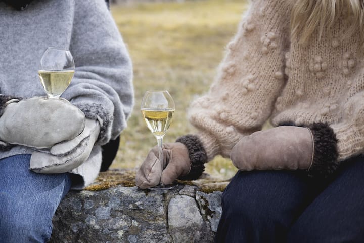 2 Copas de champagne Saga, transparente Sagaform