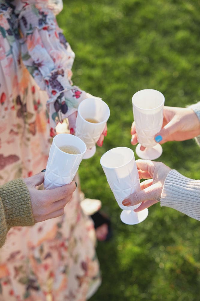 4 Copas de champán Picknick, blanco Sagaform