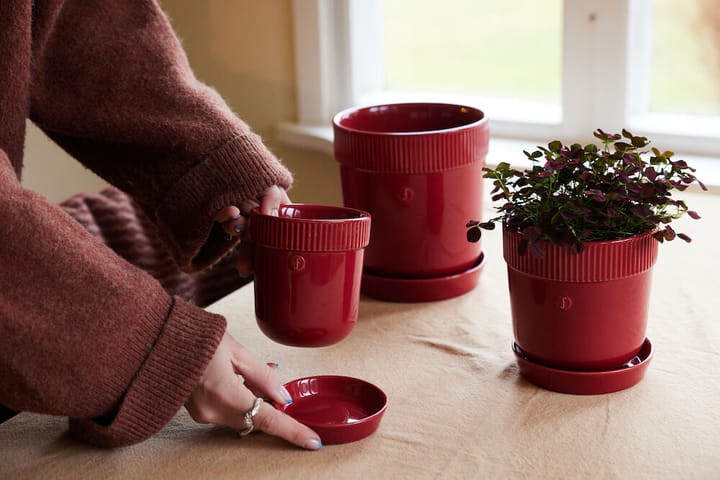 Maceta Elise M Ø17 cm, Burdeos Sagaform