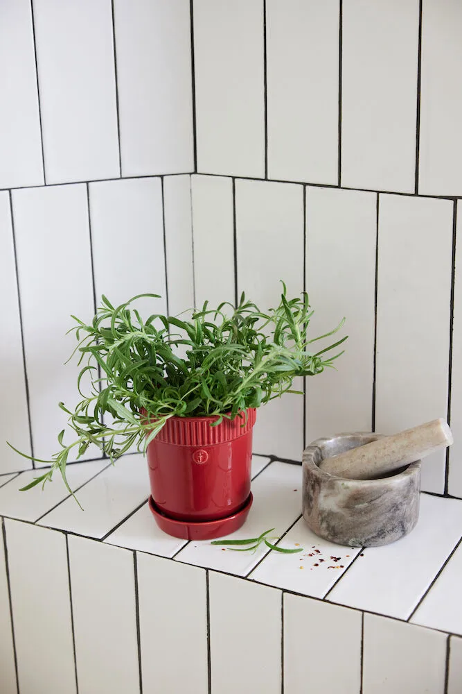 Maceta para especias Elise Ø11 cm, Burdeos Sagaform