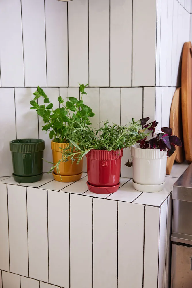 Maceta para especias Elise Ø11 cm, Burdeos Sagaform