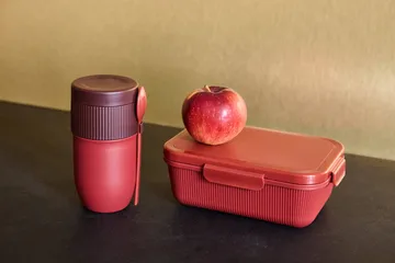Termo para comida / yogur con cuchara Ted - Rojo vino Pantone 7624C, 32 cl - Sagaform