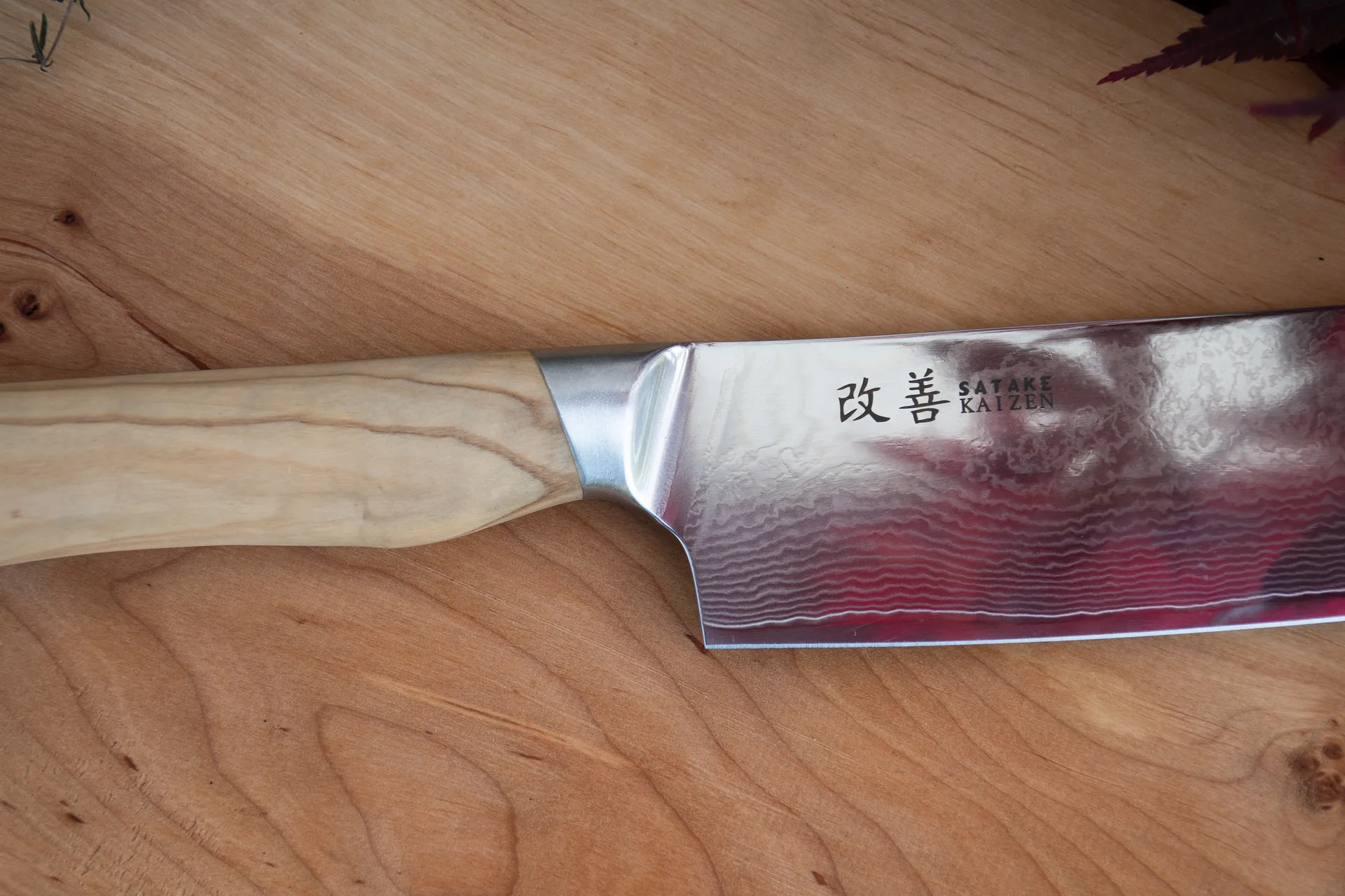 Cuchillo de chef Satake Kaizen, 21 cm Satake