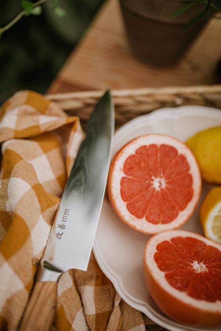 Cuchillo de chef Satake Kaizen, 21 cm Satake