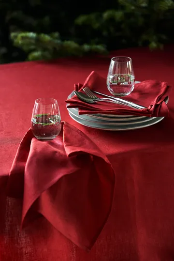 2 Paños de cocina Clean 47x70 cm - Red - Scandi Living