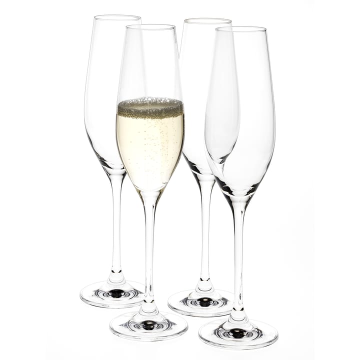 4 Copas de champán Karlevi, 21 cl Scandi Living