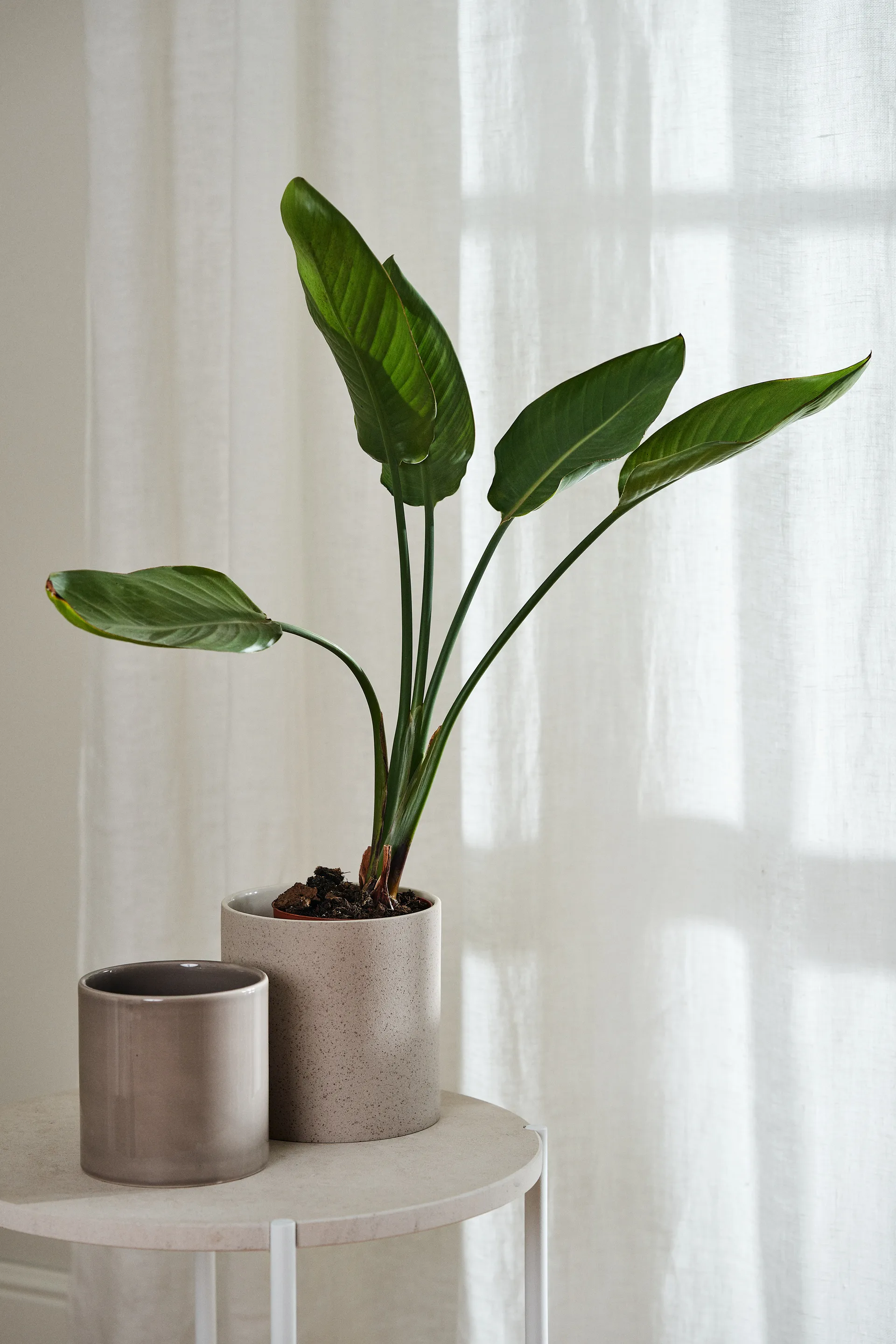 Cortina con multibanda Tranquility 139x250 cm, Blanco Scandi Living